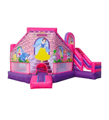 Çocuklar için şişme pembe mor Disneyland Prenses Atlama Kalesi