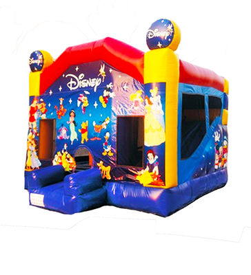 Disneyland Çocuklar İçin Kaydırmalar İçin Şişme Atlama Kalesi