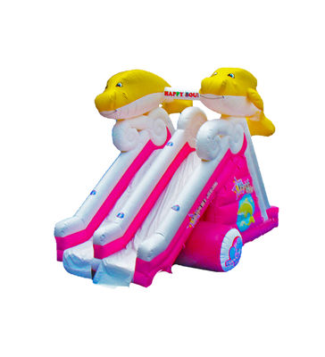 Çocuklar için Dolphin Çift Şeritli Şişme Kaydırma Parkı