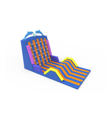 Cheerful Inflatable Climbing Slide Decorated with Dolphin Figures on Top
